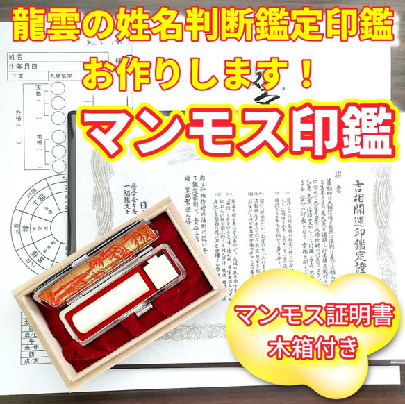 龍雲姓名判断鑑定印鑑お作りします！マンモス印鑑18mm★吉相体★印鑑オーダー