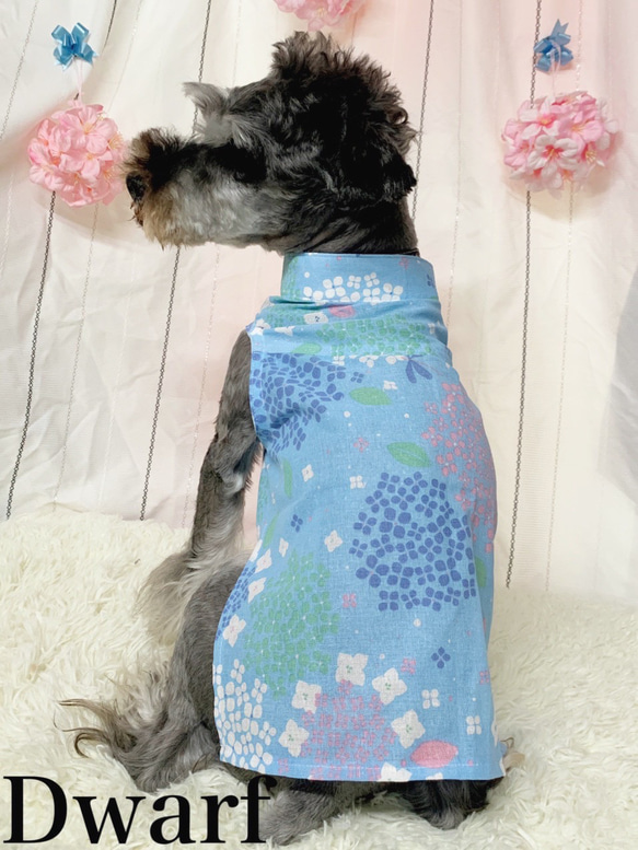 【犬服】紫陽花柄スタンドカラーてぬぐいシャツ☆(水色or桃色)