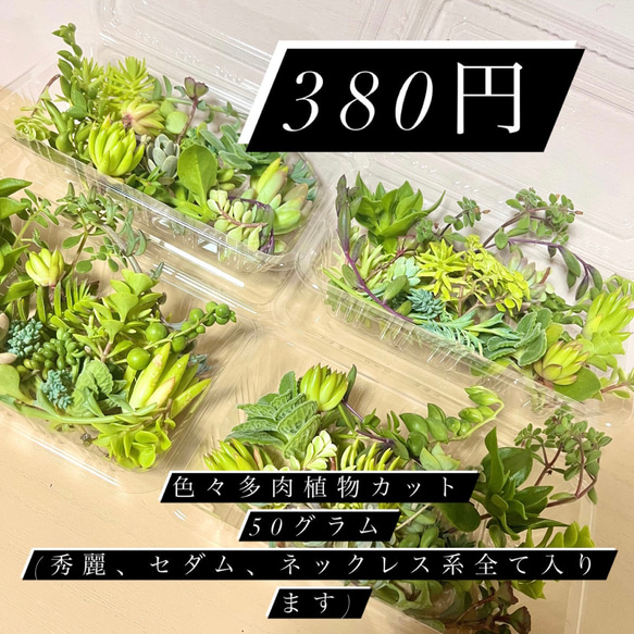 〜多肉植物カット苗〜350円パック(50グラムほど)フードパック発送