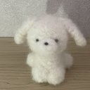 もこもこわんこ