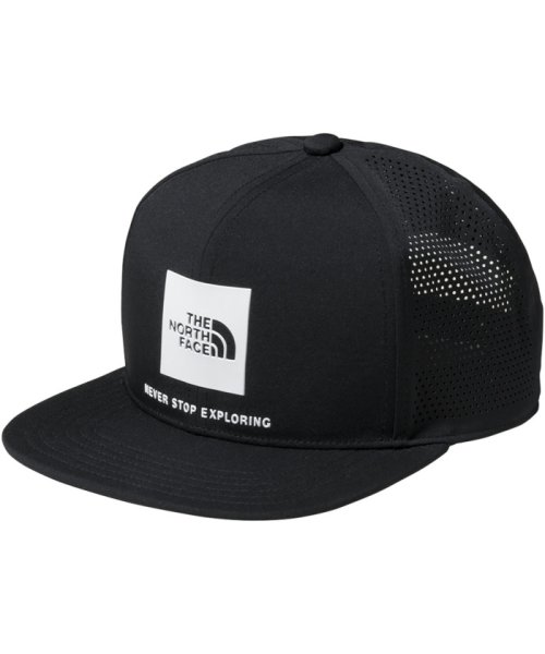 THE　NORTH　FACE ノースフェイス アウトドア テックロゴ Tech Logo Cap メンズ レデ