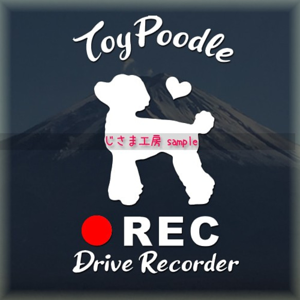 わんちゃんの可愛いドラレコステッカー!!『DRIVE　RECORDER』