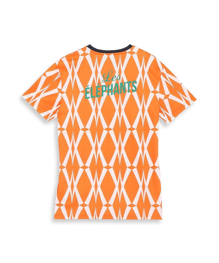 PUMA/メンズ サッカー コートジボワール FTBLCULTURE Tシャツ