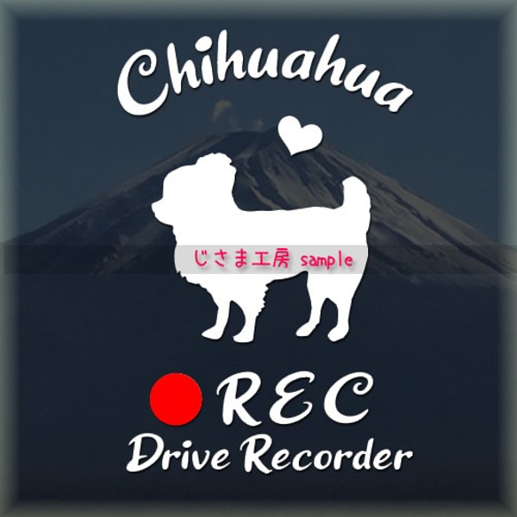 わんちゃんの可愛いドラレコステッカー!!『DRIVE　RECORDER』