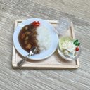 カレーライスセット*ミニチュアフード