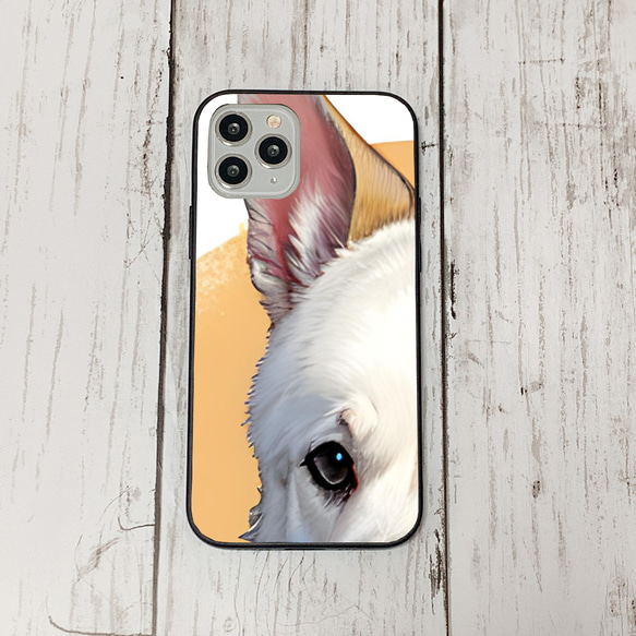 iphoneケース2-4-42 iphone 強化ガラス 犬・いぬ・ワンちゃん 箱12 かわいい アイフォン iface