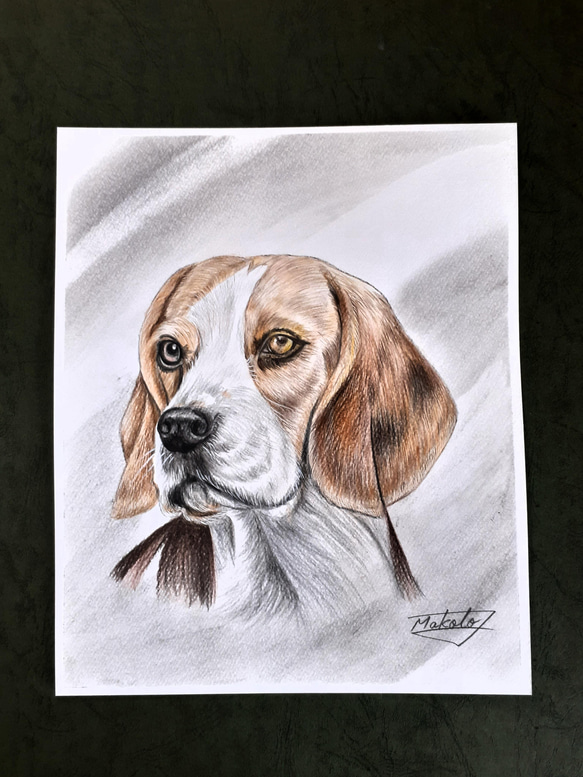 色鉛筆画　ビーグル犬