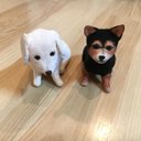 犬の置物（オーダー式）