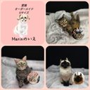 ☆愛猫オーダーメイドSサイズ☆うちのこ　羊毛フェルトオーダー(愛猫 ねこちゃん ネコ)