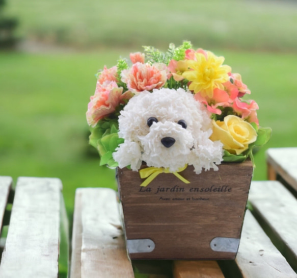 カーネーションの犬【花畑・イエロー】プリザーブドフラワー 花 犬 ペット 母の日 誕生日 お供え フラワーギフト