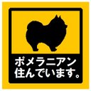 玄関 マグネットステッカー ポメラニアン住んでます