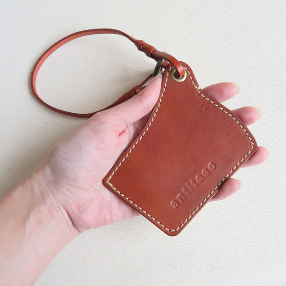 Wind pass case BROWN