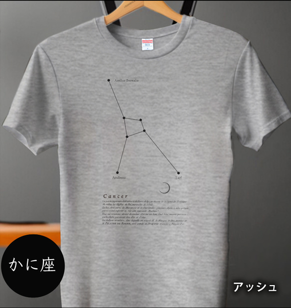 tシャツ　Tシャツ　星座Tシャツ　かわいいＴシャツ　半袖Tシャツ　プレゼント　おしゃれTシャツ　白ティー