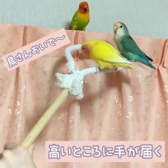 安全で安心《とりとりスティック》✩.*˚鳥ブランコ インコブランコ