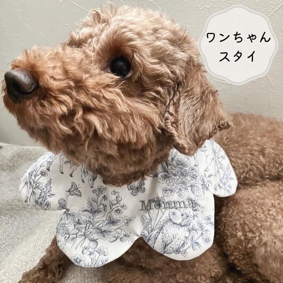 【ワンちゃん用スタイ】犬用スタイ スタイ 名入れ刺繍 バースデースタイ ペット