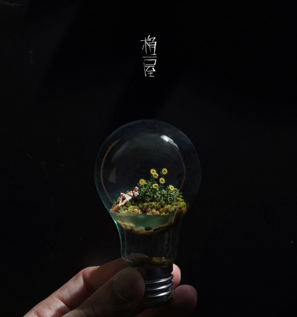 アンチ重力の苔電球 / Anti Gravity Bulb