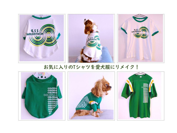 【オンリーワンのドッグウェア】Tシャツをリメイクして愛犬のための犬服を製作