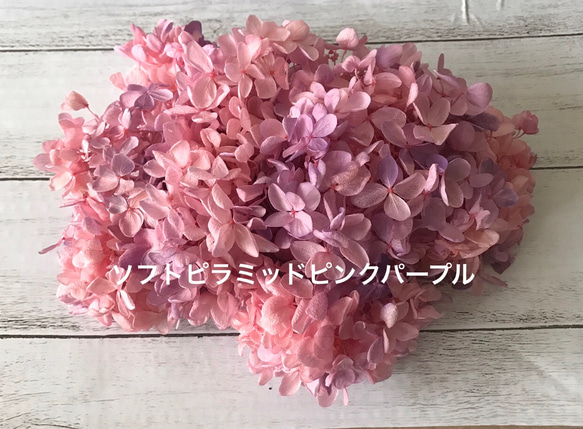 大地農園ピラミッドピンクパープルハーバリウム花材プリザーブドフラワーアジサイ紫陽花