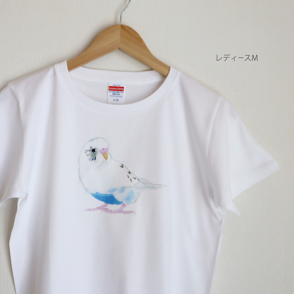 p-jet　新作2023　セキセイインコ  白ハルクイン  Tシャツ　 /  鳥 インコ