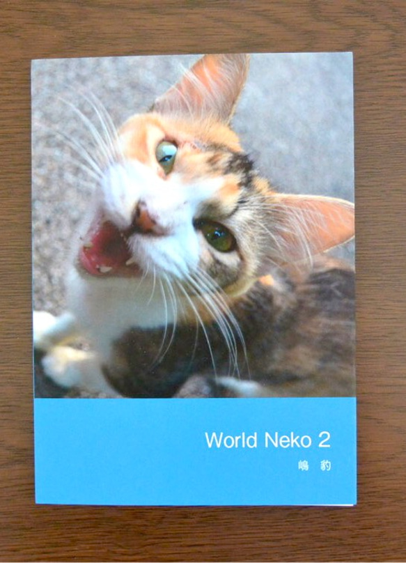 猫 写真集 文庫サイズ World Neko 2