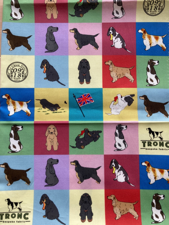 シーチング  Englishcockerspaniel squares