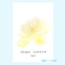 6月30日誕生花カード（花言葉つき）点描画