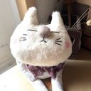 yumonmyu ぬーーーん白ねこちゃん????