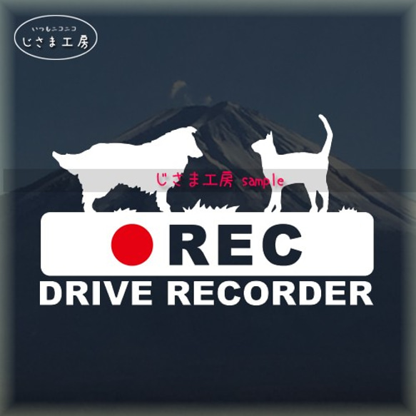 シェットランドシープドッグ＆ネコちゃんの白シルエットステッカー後方注意!!『DRIVE　RECORDER』