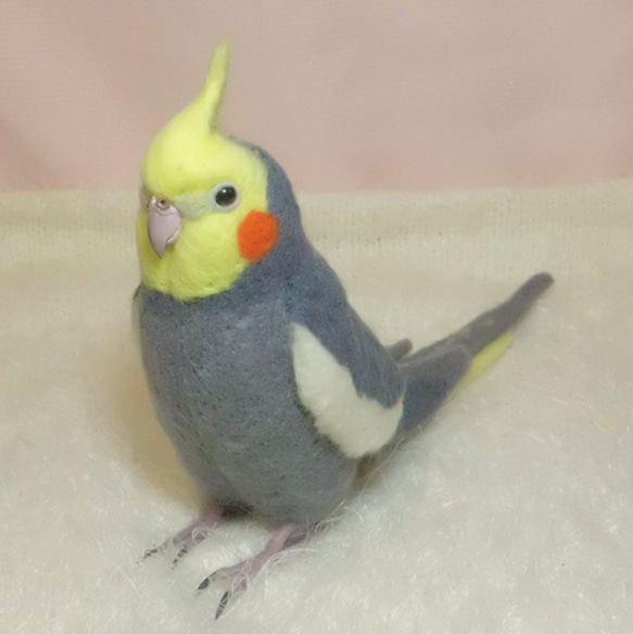 ライフサイズ オカメインコ ノーマル♂　羊毛フェルト　受注作成　羊毛インコ　メモリアル　羊毛ぬいぐるみ　工房小鳥屋さん