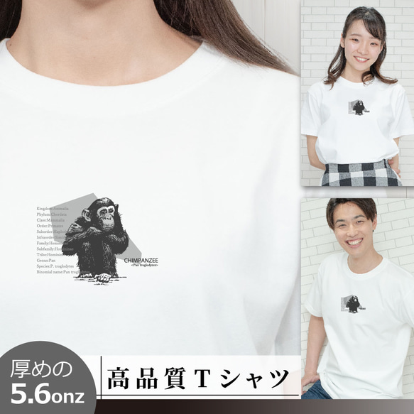 Tシャツ チンパンジーのデータ 動物 半袖 S～XL 白