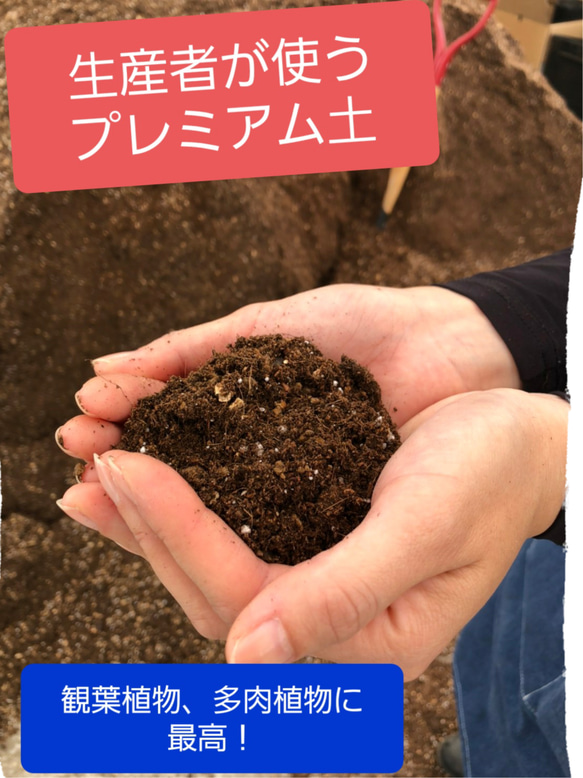 送料無料！生産者が使う　プレミアム　30㍑土　観葉植物　多肉植物