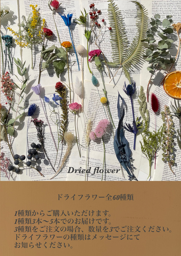 ドライフラワー全60種類〜　1種類から選べる　いろんな花材を少しづつ調達したい！いろんな種類のお花が欲しい！に。