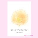 3月02日誕生花カード（花言葉つき）点描画