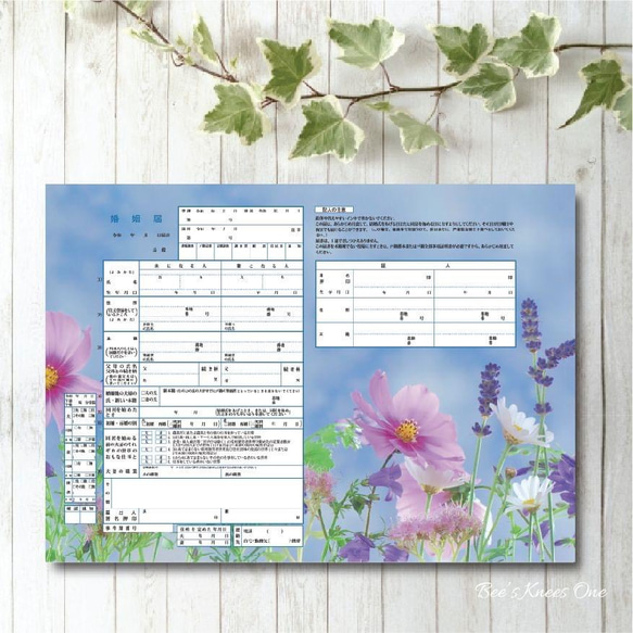 デザイン婚姻届 コスモス畑