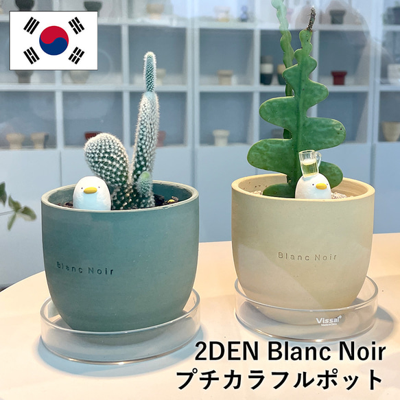 2DEN Blanc Noir プチカラフルポット ブランノワール 多肉植物鉢 幼苗鉢 鉢 底穴あり 韓国