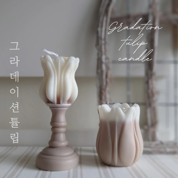 《グラデーションチューリップキャンドル》~Gradation tulip candle~