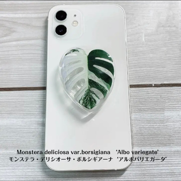 スマホスダント　スマホアクセサリー　植物スダント