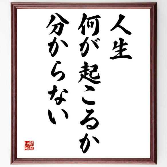 名言「人生何が起こるか分からない」額付き書道色紙／受注後直筆(V5804)