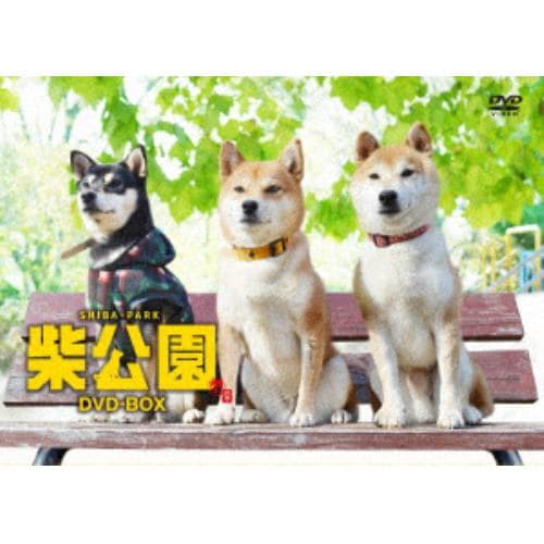 【DVD】柴公園 TVシリーズ DVD-BOX