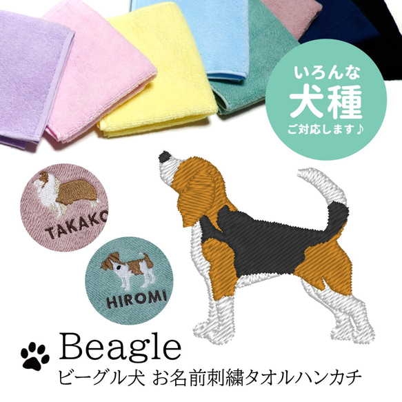 ビーグル犬刺繍今治タオルハンカチ