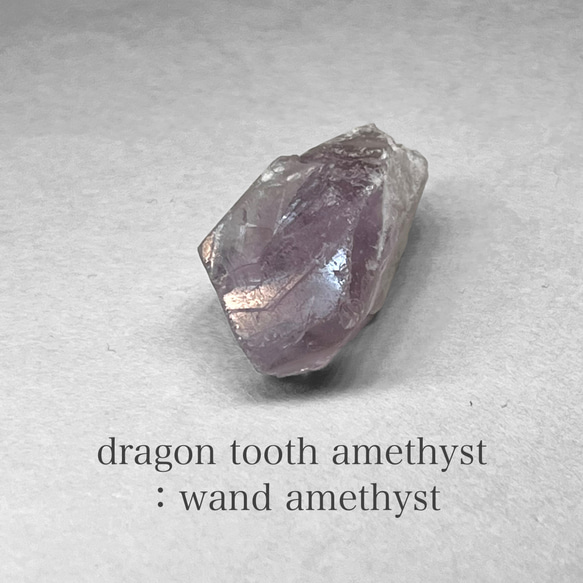 dragon tooth ( wand ) amethyst / ブラジル産ドラゴントゥース (ワンド)アメジスト L