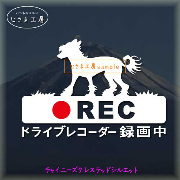 チャイニーズクレステッドドッグの白色シルエットステッカー危険運転防止!!ドライブレコーダー録画中