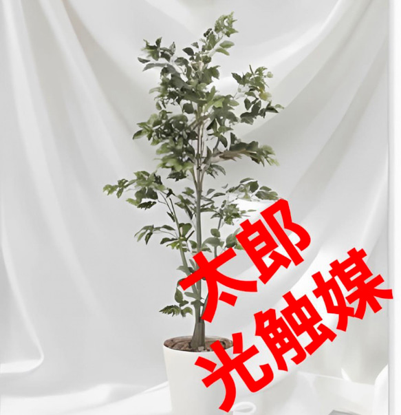 光触媒　人工観葉植物　ウォールグリーン　フェイクグリーン　フィカスツリー1.8m