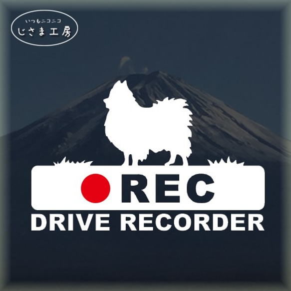 ポメラニアンの白シルエットステッカー後方注意!!『DRIVE　RECORDER』