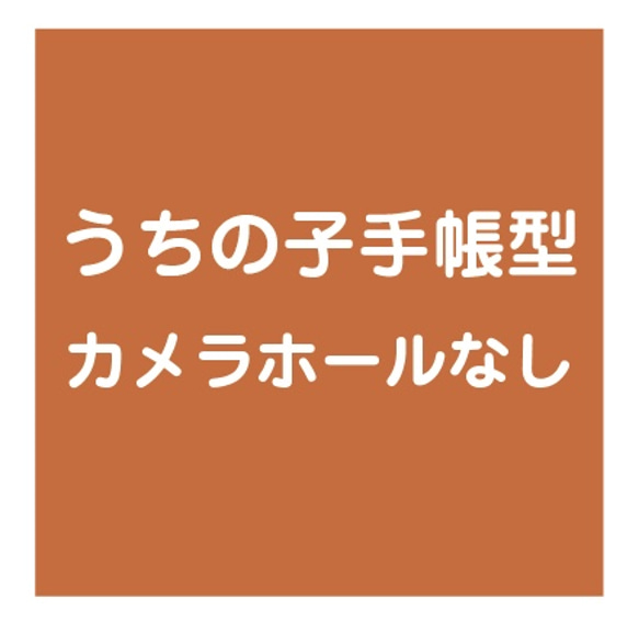 うちの子手帳型カメラホールなし追加ページ