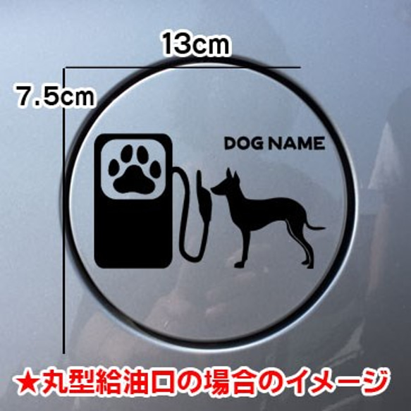 《送料無料》トイマンチェスターテリア 犬 DOG ステッカー 給油口 車