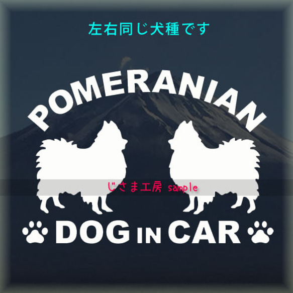 【同一犬種】　かわいい愛犬2頭飼い『Dog　in　Car』シルエットステッカー