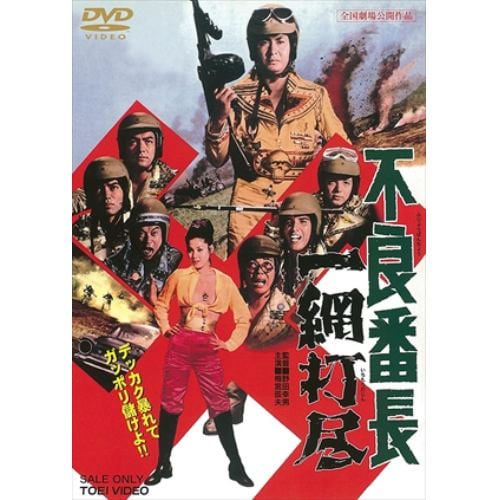 【DVD】不良番長 一網打尽