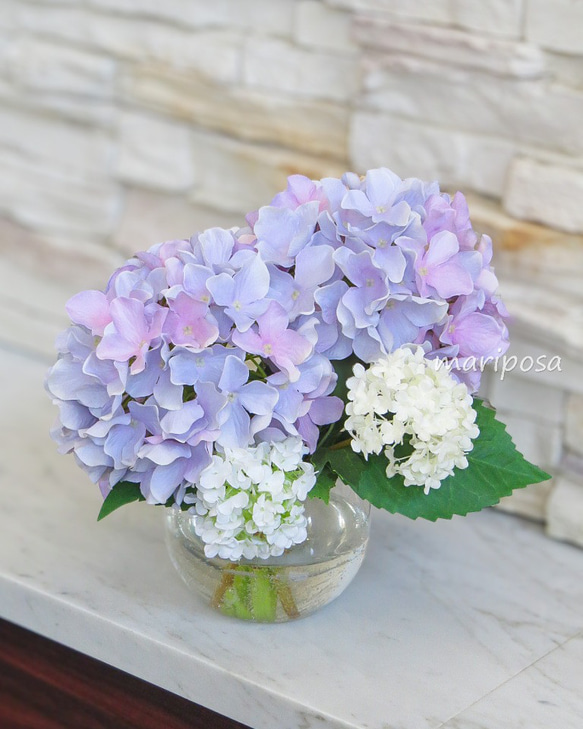 紫陽花・雨に色づくパステルな雨色紫陽花とスノーボールと。紫陽花と透明感を楽しむグラスアレンジ