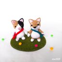 Standing cat(三毛) ＆ dog(柴)